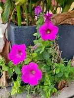 20231119_161928.webp