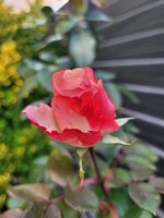 20231119_162028.jpg