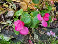 20231119_162143.webp