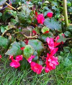 IMG_1334.JPG