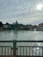 20231120_115247.jpg