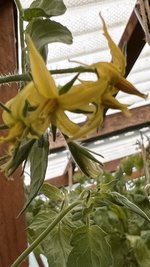 IMG_8572.jpeg