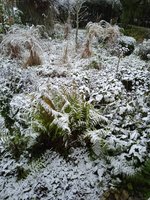 IMG_20231112_163608.jpg
