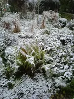 IMG_20231112_163608.jpg