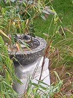 IMG_20231119_102957_1.jpg