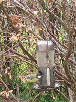 IMG_20231119_095900_1.jpg