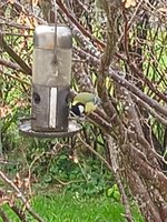 IMG_20231119_100811_1.jpg