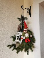 IMG_20231120_081923.jpg