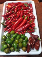 IMG_20231121_174118.jpg