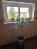 IMG_5293.jpeg