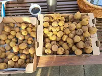 20231122_130700.webp