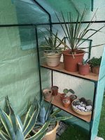 IMG_1342.JPG