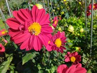 IMG_20231015_151841.jpg
