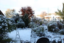 November  0723.JPG