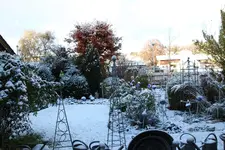 November  0723.webp