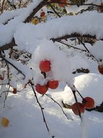 IMG_20231126_095523.jpg