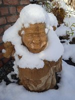 IMG_20231126_095548_1.jpg