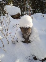 IMG_20231126_095459_1.jpg