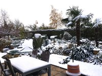 IMG_1346.JPG