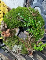 20231126_115526.webp