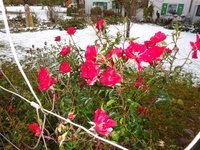 DSC03225.JPG