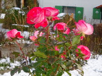 DSC03227.JPG