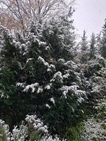 20231127_123405.jpg