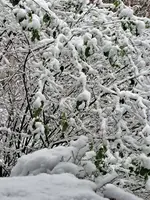 20231127_152458.webp
