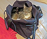 IMG_2700 v (2).JPG