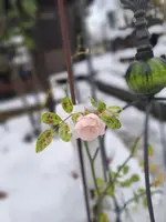 20231128_084446.webp