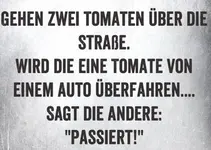 9192317e-3666-48b3-8a29-2e167b528fe1.webp