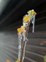20231129_100018.webp