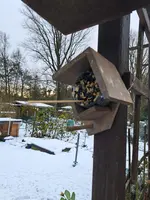 20231129_095130.webp