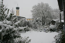 Winter  0821.JPG