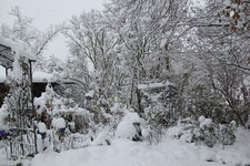 Dezember   0923.jpg