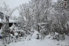 Dezember   0923.webp