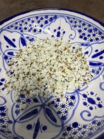 IMG_3907.jpeg