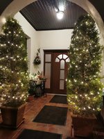 IMG_20231201_165546.jpg
