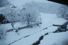 Dezember   2323.webp