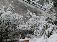 2023Schnee.jpg