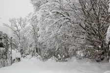 Dezember   2923.webp