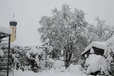Dezember   3023.webp