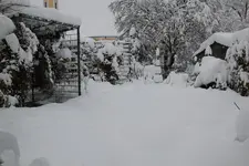 Dezember   2523.webp