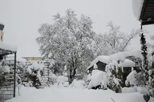 Dezember   2623.webp