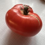 IMG_8638.jpeg