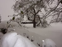 DSC03233.JPG