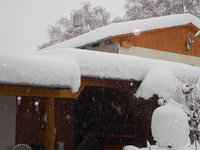 DSC03230.JPG