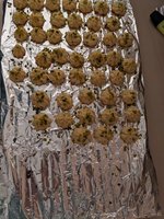 PXL_20231202_163110521.jpg