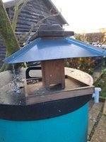20231203_151236.jpg