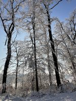 IMG_0915.jpeg